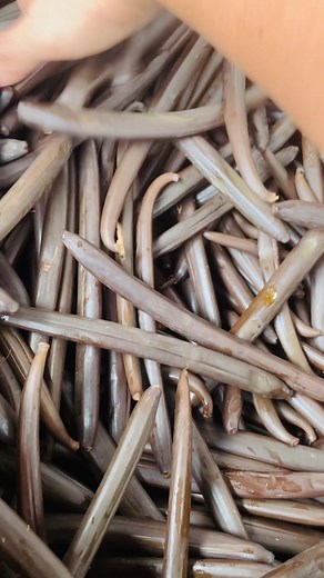 How Vanilla Is Dried: Slow Curing for Grade A Vanilla Beans