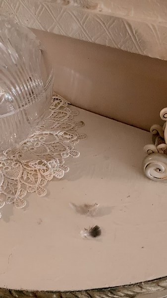 Decorative Rustic Scene with Glass Ornament and Lace Doily