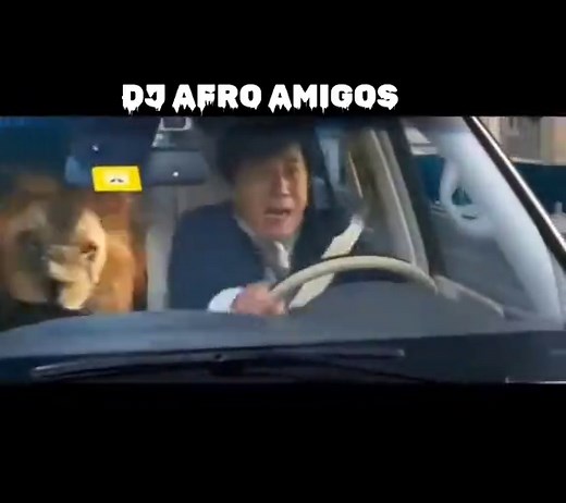 DJ Afro Amigos: The Ultimate Entertainment Experience