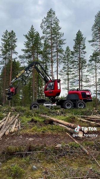 Komatsu 901XC: The Future of Logging Machines