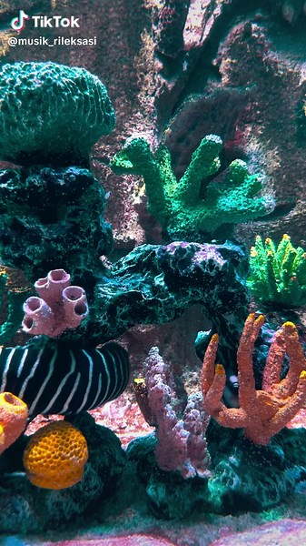 Musik Rileksasi untuk Tidur Nyenyak dan Redakan Stres