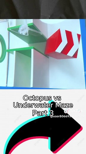 Octopus Challenge: Navigating the Underwater Maze
