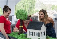 Winner Cake All - Discovery Home & Health Online