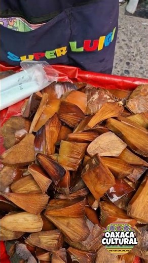 Maguey horneado 👌