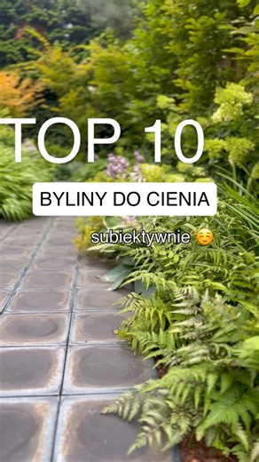 Iza Szarmach Olga Piórkowska on Instagram: "Ogród w cieniu wcale nie musi być nudny! Możesz łączyć rośliny, które wszystkie są zielone, ale w różnym natężeniu i odcieniach, a do tego dobierać je pod kątem różnych faktur, tekstur i kształtów liści – i nagle każdy zakątek staje się interesujący i pełen życia. Nie bój się też kwiatów – delikatne akcenty w subtelnych kolorach dodadzą lekkości i ruchu, nawet w cieniu. Nasze ulubione byliny do cienia: - Funkie (Hosta) – liście o ciekawych kształtach i