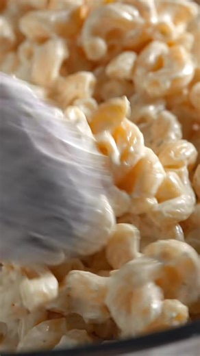 595K views · 14K reactions | #tiktokfood #asmr feat. Président Cheese US Rondelé Garlic & Herbs | Zach Choi | Facebook