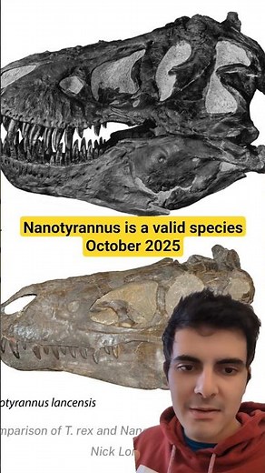 Nanotyrannus vs. T. Rex - #trex #cretaceous #triceratops #fossil #paleontology #extinction