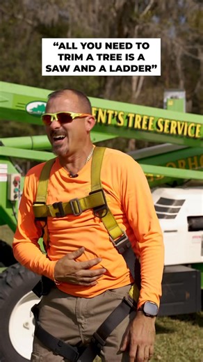 14 reactions · 13 shares | “All you need to trim a tree is a saw and a ladder…” Don’t be ridiculous. That advice usually comes right before a bad outcome. Proper tree care takes training, experience, and the right equipment.  #TreeDoctor #CertifiedArborist #ProperPruning #TreeCareDoneRight #DontBeRidiculous #PaperJacketMedia | Trent's Tree Service LLC | Facebook