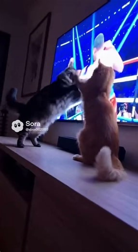 When you take boxing lessons from TV 🥊😂