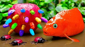 27K views · 204 reactions | Red Koi Fish Looking for Treasure | Kids Toy TV | Facebook