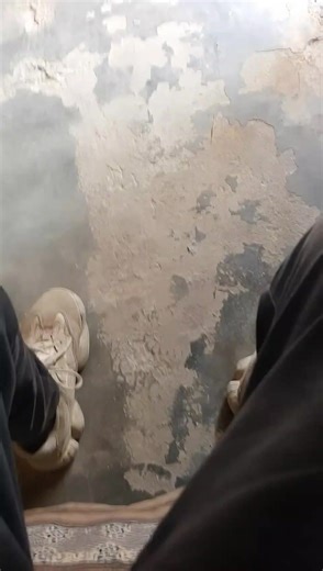 Unlocking Insights from Tor Search Data