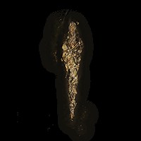 Grace Mimic | Elden Ring Wiki