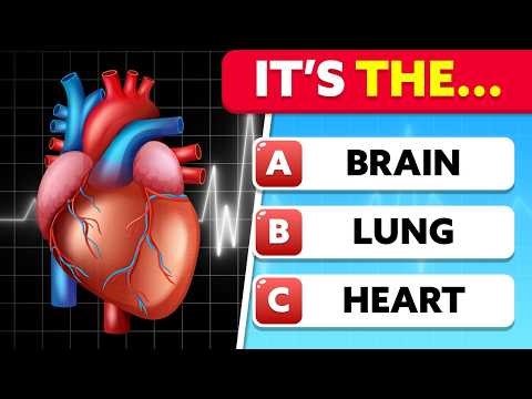 Can You Pass This Human Body Quiz? | General Knowledge Quiz 🧠❓
