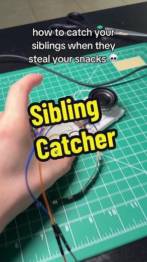 Funny Engineering Pranks with Sibling Catcher