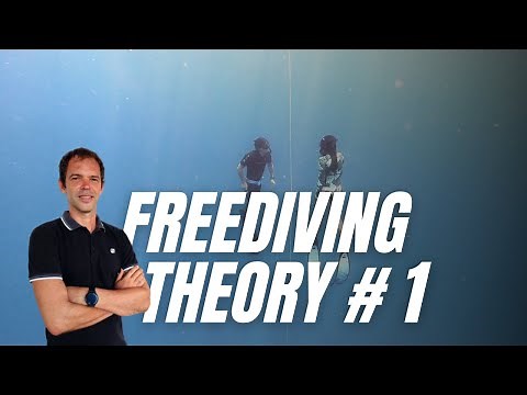 Learn BREATH HOLD Theory in 15 Minutes | Freediving for Beginners Part 1