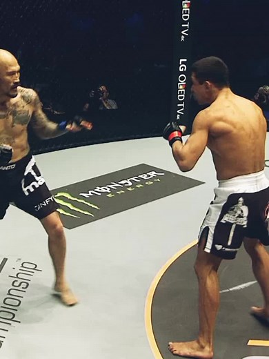 MMA Fight Inside the Octagon: Striking and Grappling Action