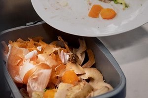 Thousands of Sheffield homes to get new food waste bins as part of trial in coming weeks
