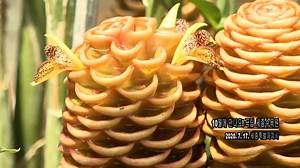 The beauty of Korean traditional gardens and tranquil landscapes at the National Sejong Arboretum, captured through breathtaking drone footage 🌿✨📸. Would you like to visit this place? Comment 'yes' or 'no'! Video by 조선영상비전 (youtube.com/watch?v=GiMMmv-ayF0) #SejongArboretum #KoreanGardens #NatureEscape #DroneFootage #TraditionalBeauty #explorekorea | Best Korea Pictures