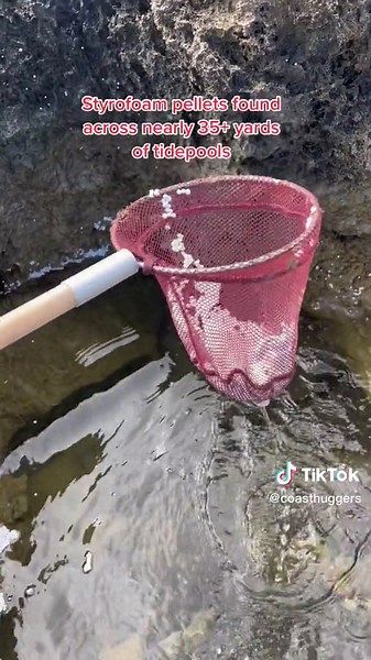 Styrofoam Pellets Pollution at Tidepools