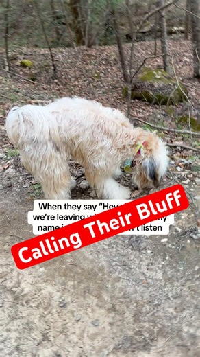 Calling Their Bluff