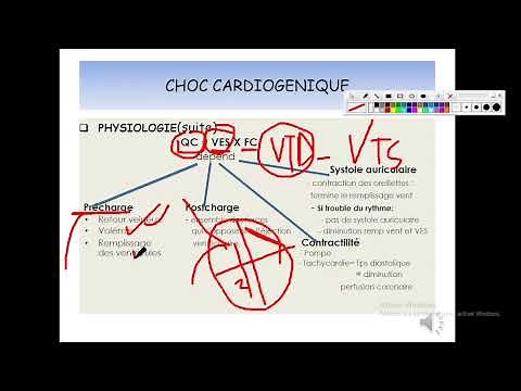 UE1 Physiopathologie :Choc Cardiogénique