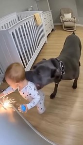 Hero dog (IA generated) | Productive Panda