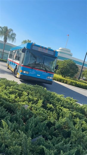 Yep, riding these is fun! #disney #bus #buses #busdriver #busdriving #disneytransportation