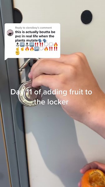 Replying to @slendboy there’s maggots now… #fruit #fruitlocker #munch #fyp