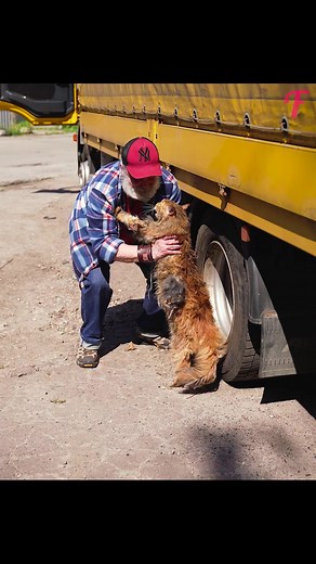 995K views · 46K reactions | From Neglect to Love Can a makeover bring happiness to a cat? . . . (For entertainment purposes only. Consult professionals if guidance on activities is presented. No brand affiliation is implied if any are shown. If inspired by true events, creative adaptations may be included. Content may include public footage.) | Fabiosa Kindness in Action | Facebook