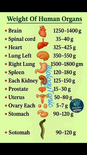 1.1M views · 14K reactions | Biology terms @topfans | Biology Tonic | Facebook