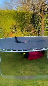 About Trampoline Sports Two questions people often ask: Can a trampoline break? And how high can you jump? Trampoline surfaces are usually made of nylon and rubber, which gives strong bounce. But if too much pressure hits one spot, the surface can break. That’s why in pro shows, they often switch trampolines after big jumps. Luckily, if it does break, it absorbs most of the impact, so injuries are rare. As for height—solo athletes can reach about 6 meters, but in group trampoline acts, teammates