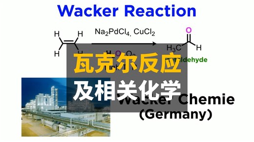 瓦克尔反应及相关化学 | 双语 | Professor Dave Explains