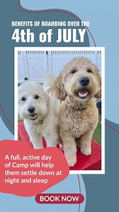 Benefits of Boarding Over the 4th of July 🎆 - A full, active day of Camp will help your dog settle down at night and sleep - Supervised play yards and potty break before local firework shows begin - Staff trained to notice and respond to signs of stress in dogs Schedule your pup’s next boarding stay at app.campbowwow.com | Camp Bow Wow