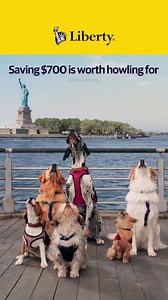1.3M views · 108 reactions | These savings will have you howling with happiness. We customize insurance so you could save hundreds. | Liberty Mutual Insurance | Facebook