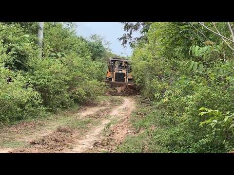 Practical Guide to Plantation Road Repair with D6R XL Bulldozer