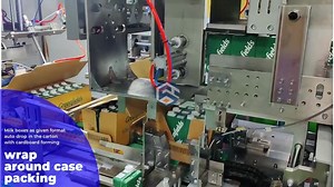The Automatic Wrap Around Case Packer also called Wrap around Case...