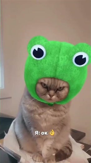 Ryabina Пижама с шортами https://wildberries.ru/catalog/0/search.aspx?search=WW211611