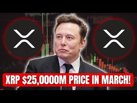 Ripple Explained What You Need to Know About XRP, RLUSD, and Ripple’s $25M Power Play