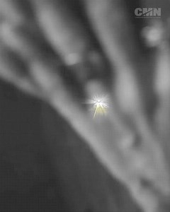 4.3K views · 1.3K reactions | Charlotte nos vemos el 21 de febrero en el Spectrum Center! No te lo pierdas!, busca tus boletos! | Marc Anthony | Facebook