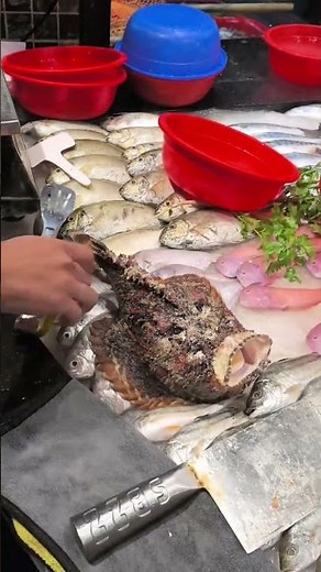 Stone Fish Most Dangerous Fish