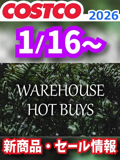 コストコ新商品とセール情報まとめ