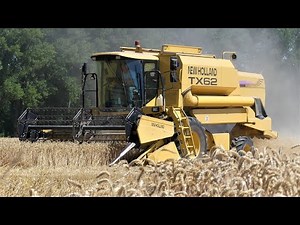 Getreideernte 2022/ New Holland TX 62