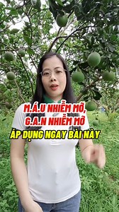 5K reactions · 1.3K shares | Bưởi kia ta hái ta phơi, Gan kia nhiễm mỡ uống chơi cũng hồng ! Đang mùa bưởi non, bác nào bị mỡ máu, mỡ gan làm ngay nhé  #bưởinon #xửlýmỡgan #mỡmáu | Bùi Ngọc Anh | Facebook