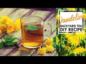 Dandelion Tea - How to Make the Perfect Cup