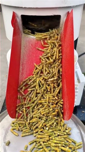 From Waste to Wealth The Ultimate Pellet Mill 🛠️ #PelletMill