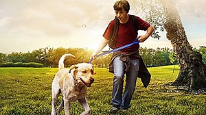 Marshall. Cudowny pies (2014) Lektor PL