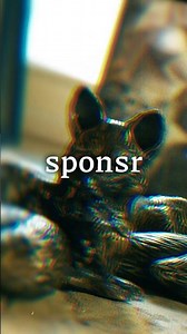 Путь, который не каждый смог пройти🦊💪 #награды #sponsr #шортс