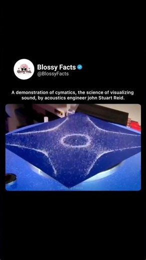 Watch Sound Create Perfect Patterns
