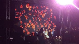 14K views · 11 reactions | A different and more sentimental entrance for our Bride and Groom.... another beautiful #Wedding #Visual by #EyeSeeExperience .... #VJ #VJset by #VJLoup M'hd Mdaka .... #lighting by @chabiro “ | EYE SEE Experience | Facebook