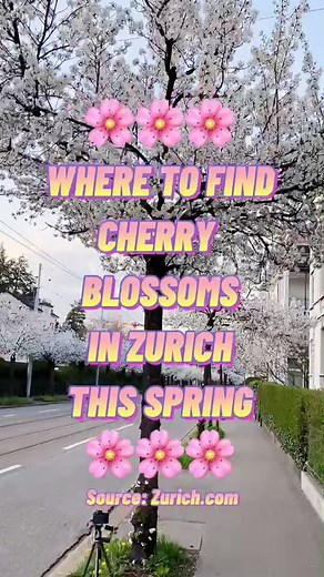 CEO of Recommendations on TikTok